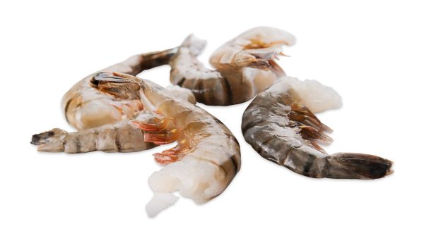 A bunch of Raw shrimp headless isolated on white background